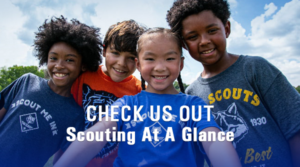 Scouting At A Glance - 2024