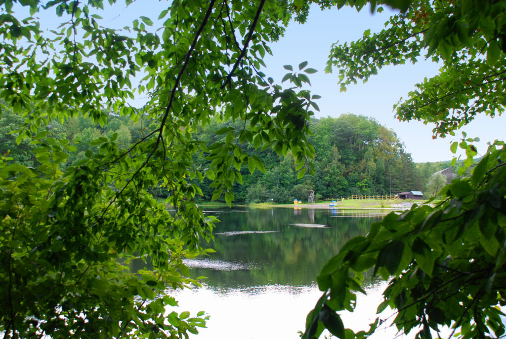 Lake Wellington, Camp Cutler - 2024